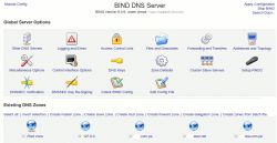Agregando nuevos registros de DNS